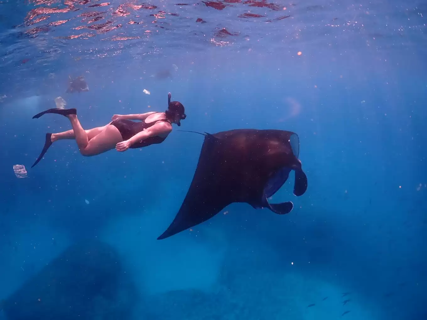 Private Snorkeling Nusa Penida